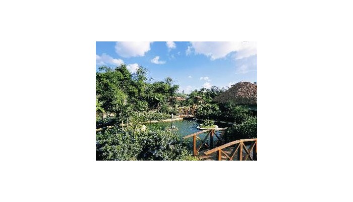 Poza pentru Dreams La Romana Resort & Spa All Inclusive 876-1488176122 Dreams La Romana Resort & Spa All Inclusive poza 8