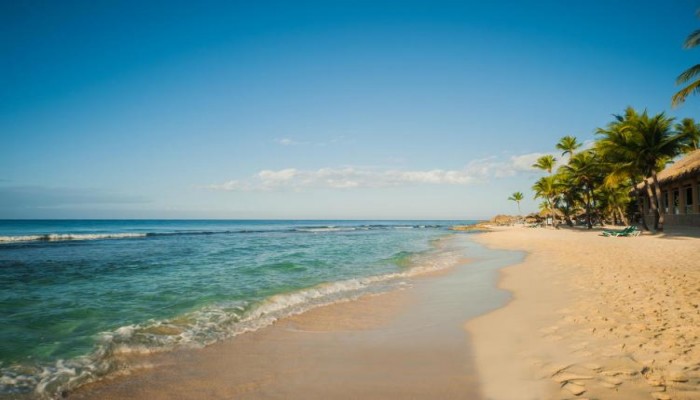 Poza pentru Hotel Viva Wyndham Dominicus Beach 74-1502805220 Hotel Viva Wyndham Dominicus Beach poza 32