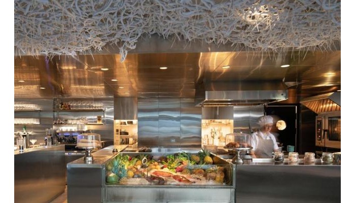 Hotel Ducassi Suites Rooftop Pool Beach Club And Spa poza 5