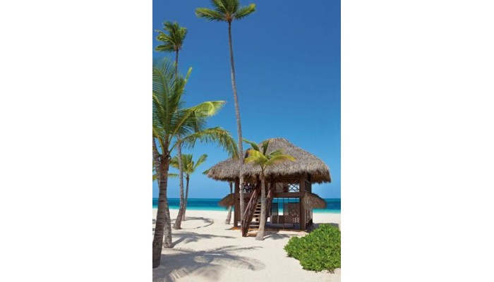 Hotel Secrets Royal Beach Punta Cana poza 4