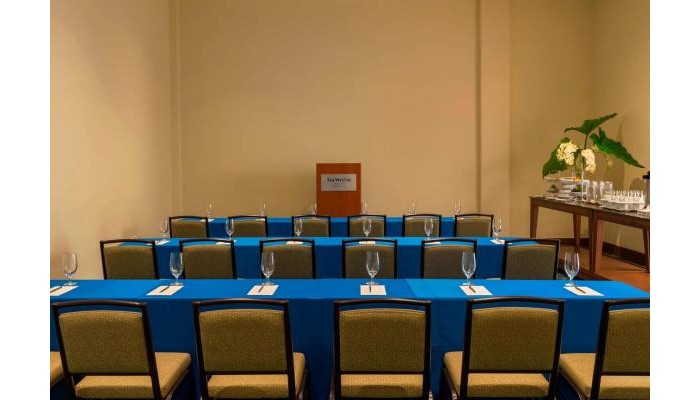 The Westin Punta Cana Resort And Club poza 46