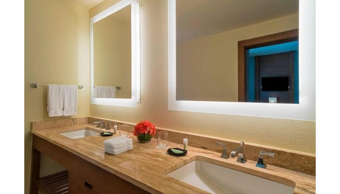 The Westin Punta Cana Resort And Club poza 12