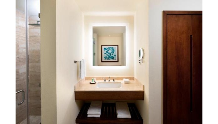 The Westin Punta Cana Resort And Club poza 11