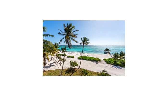 Westin Punta Cana Resort poza 0